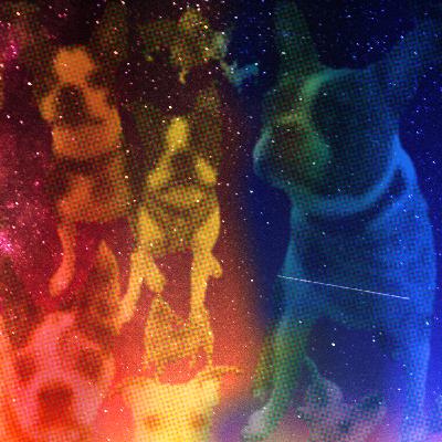 To All The Dogs We've Loved