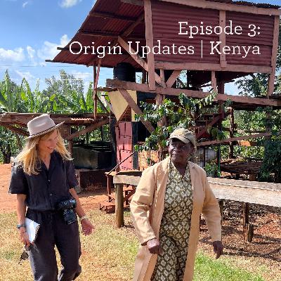 Origin Updates | Kenya Origin Updates | Kenya