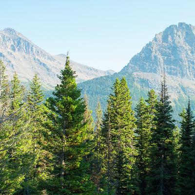 Cómo construir amistades duraderas Cómo construir amistades duraderas