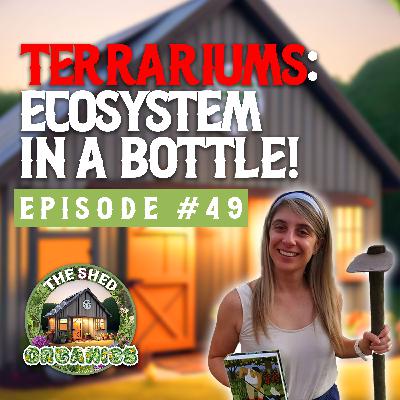 #49 - Terrariums: Ecosystem In A Bottle | Cass [PlantWithCass]