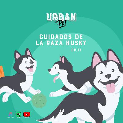Ep. 11 - Cuidados de la raza husky