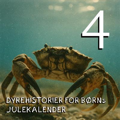 Julekalender - afsnit 4