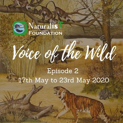 Episode 2 17th to 23rd May, 2020