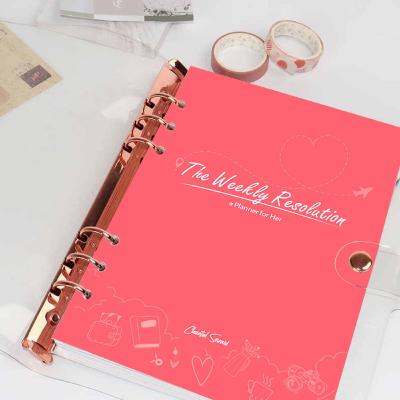 The Weekly Resolution Planner The Weekly Resolution Planner