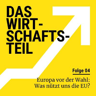Europa vor der Wahl: Was nützt uns die EU?