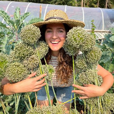 Perennial vegetables to plant once and harvest many times with Michalina Hunter of Cicada Seeds in British Columbia Perennial vegetables to plant once and harvest many times with Michalina Hunter of Cicada Seeds in British Columbia