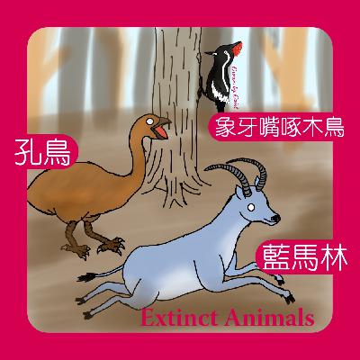 EP62 因為人類而滅絕的動物們