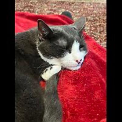 Episode 3021 CWSA 11/17/25