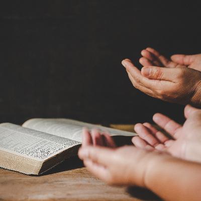Oración para hoy 2-12-20 bendito😇 el que proclama al Señor- Salmos118:24-26 Oración para hoy 2-12-20 bendito😇 el que proclama al Señor- Salmos118:24-26
