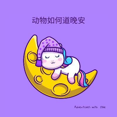 动物如何道晚安