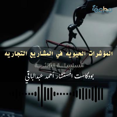 المؤشرات الحيويه في المشاريع التجارية