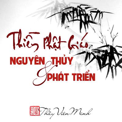 #9 Tâm sự cuối sách | Thiền Phật Giáo - Nguyên Thủy và Phát Triển | Hòa thượng Viên Minh