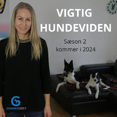 Hvor lang tid vil det tage min hund at lære det?
