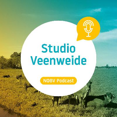 Studio Veenweide