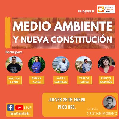 Medioambiente y Nueva Constitución