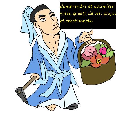 Comprendre et optimiser votre qualité de vie, physique et émotionnelle Comprendre et optimiser votre qualité de vie, physique et émotionnelle