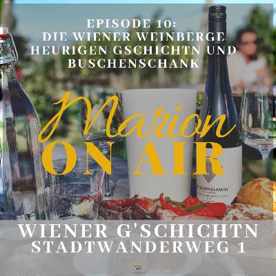Wiener Wein und seine Berge - Ein Ausflug in die Geschichte des Kahlenberg