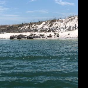 Welcome to From my Mind to Yours