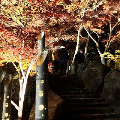 【LIVE】あはれ秋風よ情あらば伝えてよ