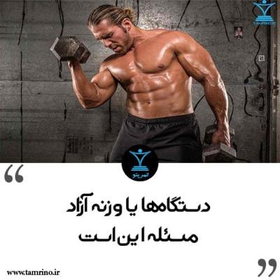 دستگاه یا وزنه آزاد مسئله این است (هوش مصنوعی) دستگاه یا وزنه آزاد مسئله این است (هوش مصنوعی)