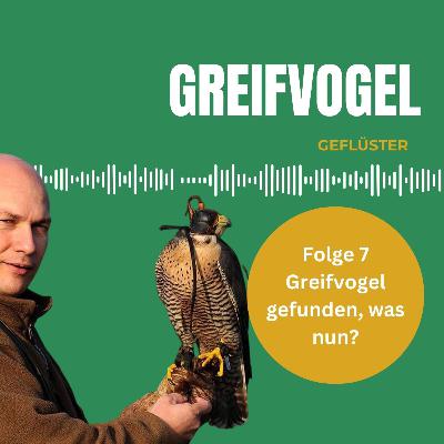 Greifvogel, Falke oder Eule gefunden, was tun? - Interview mit Frank Seifert