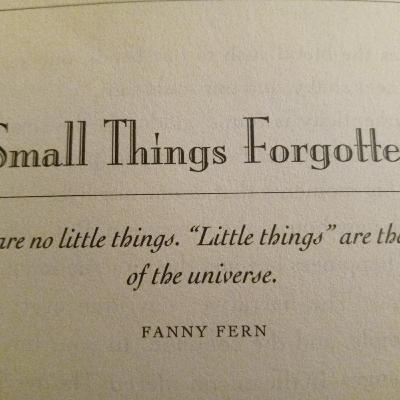 Small Things Forgotten-Romancing the Soul Section of- Something More Series Small Things Forgotten-Romancing the Soul Section of- Something More Series