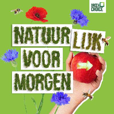 Natuur over de grens: de mangroves