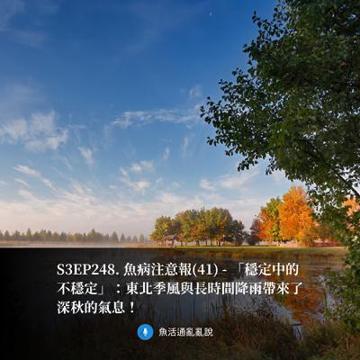 S3EP248. 魚病注意報(41) - 「穩定中的不穩定」:東北季風與長時間降雨帶來了深秋的氣息! S3EP248. 魚病注意報(41) - 「穩定中的不穩定」:東北季風與長時間降雨帶來了深秋的氣息!