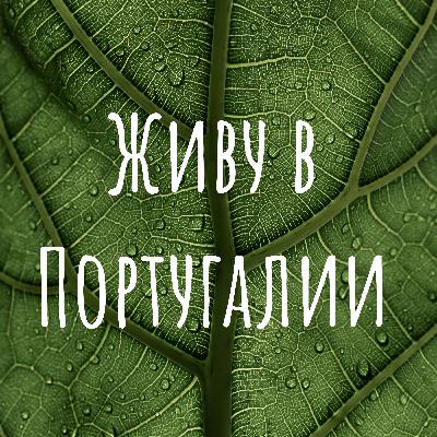 Летний детский лагерь в Португалии Летний детский лагерь в Португалии