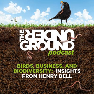 Birds, Business, and Biodiversity: Insights from Henry Bell