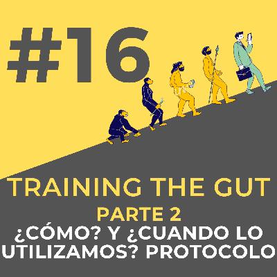 #16 ENTRENAMIENTO NUTRICIONAL parte 2. A NIVEL PRÁCTICO. RENDIMIENTO