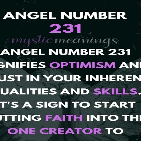 231 angel number twin flame