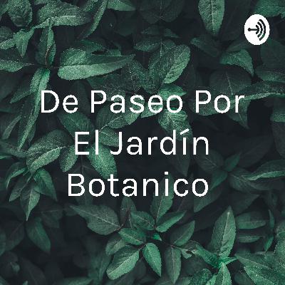 Audioguia: De paseo por el jardín botanico Audioguia: De paseo por el jardín botanico