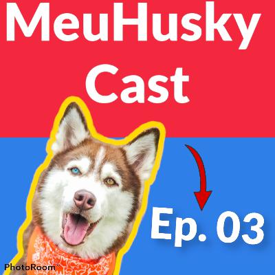 O dia em que meu Husky fugiu. Ep03