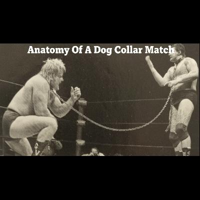 Anatomy Of A Dog Collar Match (Valentine vs Piper)