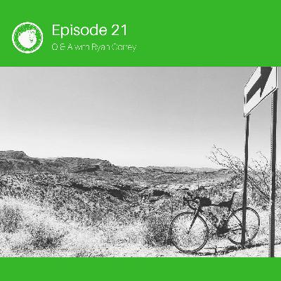 A GENTLE ANSWER