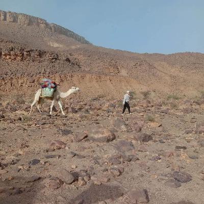 Wüstenreise Marokko - Akabar Sahara Treks - einzigartig, professionell, liebevoll Wüstenreise Marokko - Akabar Sahara Treks - einzigartig, professionell, liebevoll