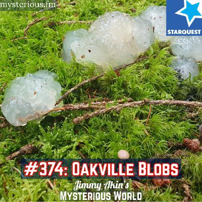 The Oakville Blobs – Jimmy Akin’s Mysterious World