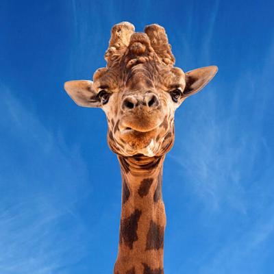 Ep. 4 - guilty pleasures Ep. 4 - guilty pleasures