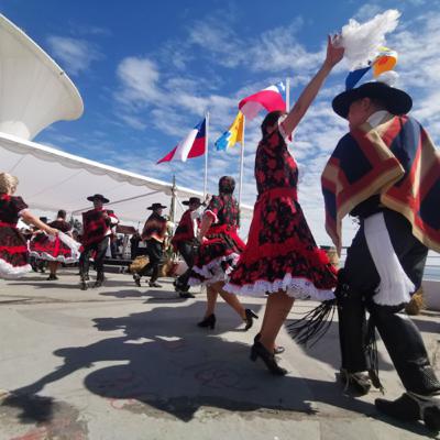 VIÑA EN SEPTIEMBRE