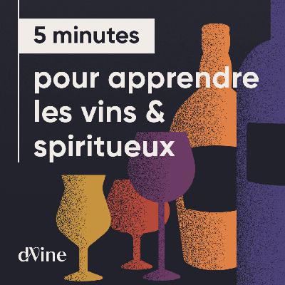 S5 Épisode 4 - Vins, Chocolats & Origines