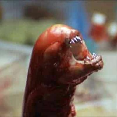 Ep. 40 - Alien Ep. 40 - Alien
