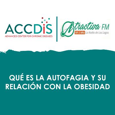 Qué es la autofagia y su relación con la obesidad