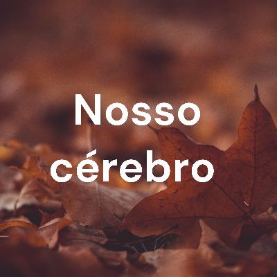 As áreas do cérebro