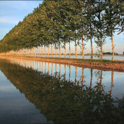 ViAE puntata 10 Via di acqua e di riso _ Lomellina