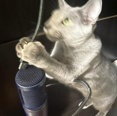 猫と暮らし始めてました！【猫トーク前半】 from Radiotalk