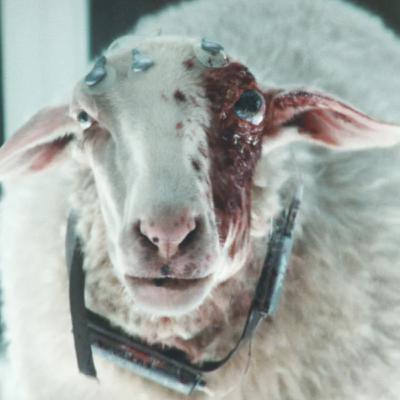 Episode 268 - Alien Earth Episode 4 Review