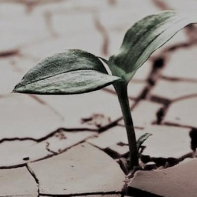 Misión de ser: educando para la vida