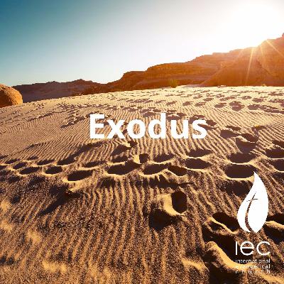 Exodus - When God seems absent