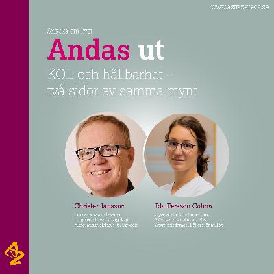 Andas ut: KOL och hållbarhet – två sidor av samma mynt